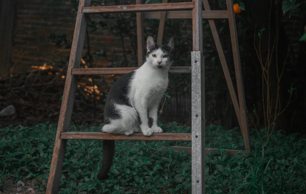 What are the essential skills for UK entrepreneurs in 2024?